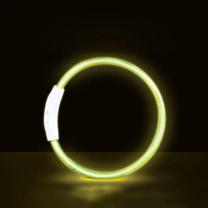Yellow LED dog collar USB rechargeable luminous neck ring for S/M/L dogs, bright night safety anti-lost pet accessory
