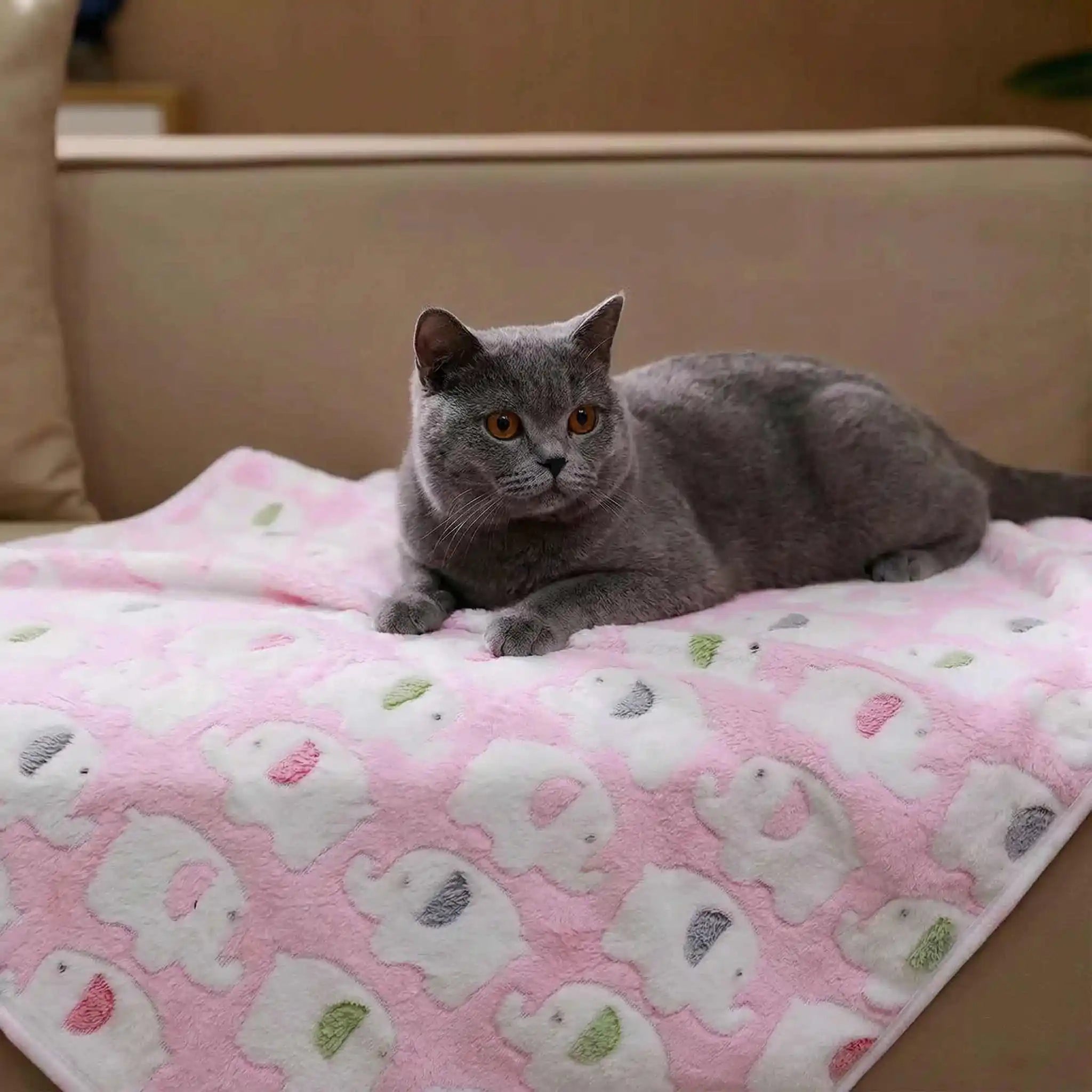 Gray cat resting on a pink soft dog blanket with elephant pattern, cozy pet bed mat for cats and dogs