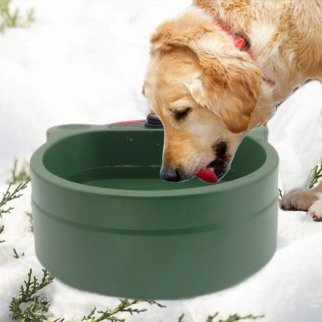 Sbcd90f609a2c49bd9e776a9db45bee0an_992e5221-ab40-49a0-bcfa-4064ce5e22d8 - bestdoggylife.shop