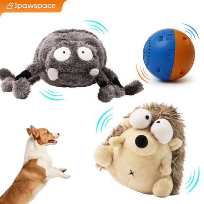 Dog plush spider toy, blue ball, hedgehog plush, and excited dog on white background