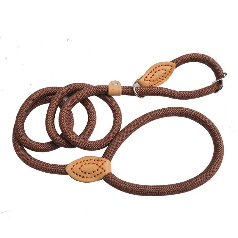 Sbe5920e232454a79a84ceea8276e004aA - bestdoggylife.shop