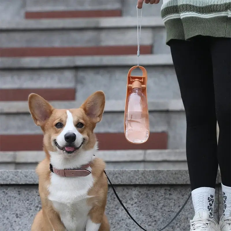 Portable dog water bottle for small and large dogs, foldable lightweight drinking bowl for outdoor travel and walking