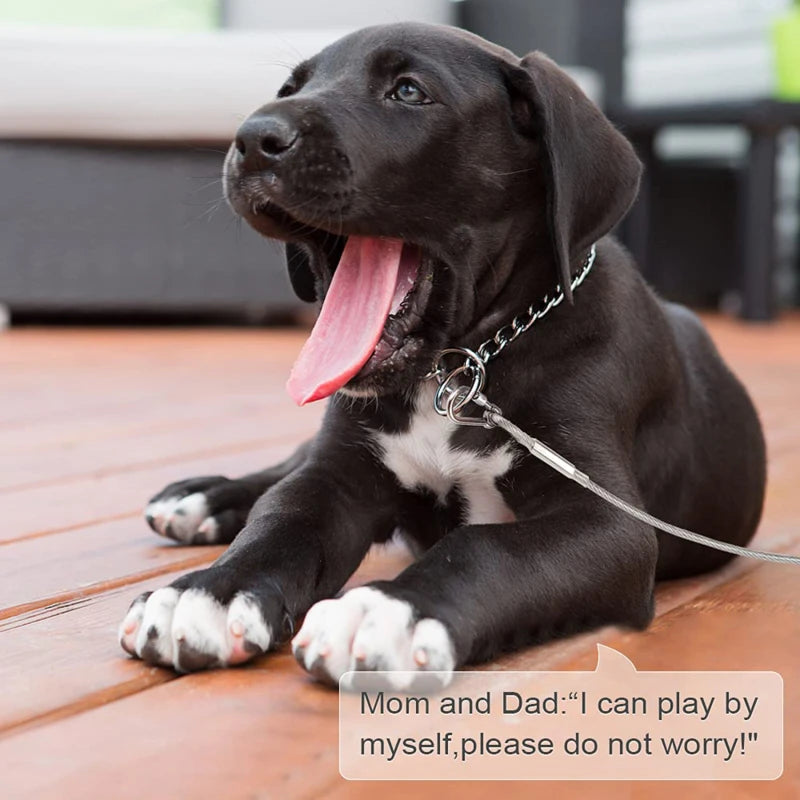 Sbedbdf73721f4f99840a10b70823a96b9 - bestdoggylife.shop