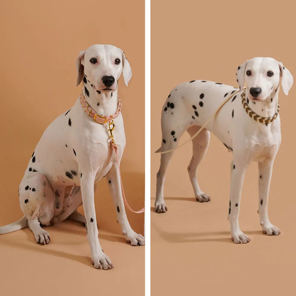 Sbf257150dd3640858dfa0545ec0f0ed0g - bestdoggylife.shop