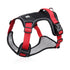 Sbf925979374b43e08836c6a184c6716ao - bestdoggylife.shop