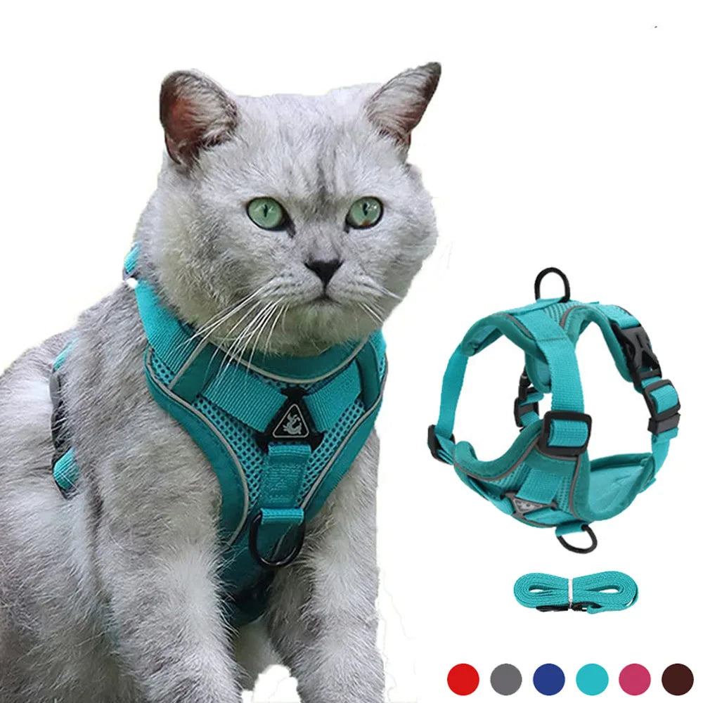 Reflective cat harness and leash set for cats and small dogs, breathable mesh nylon harness with leash and matching turquoise design