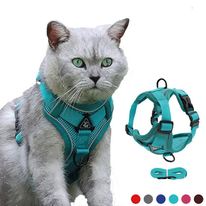 Reflective cat harness and leash set for cats and small dogs, breathable mesh nylon harness with leash and matching turquoise design