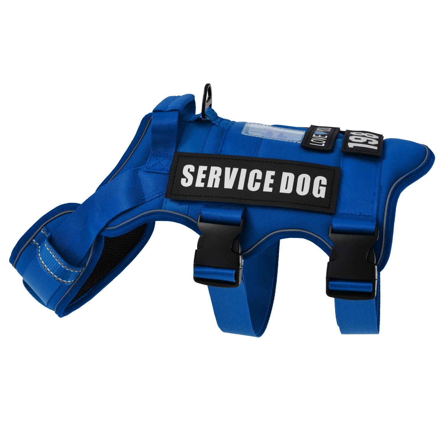 Blue adjustable dog harness with &