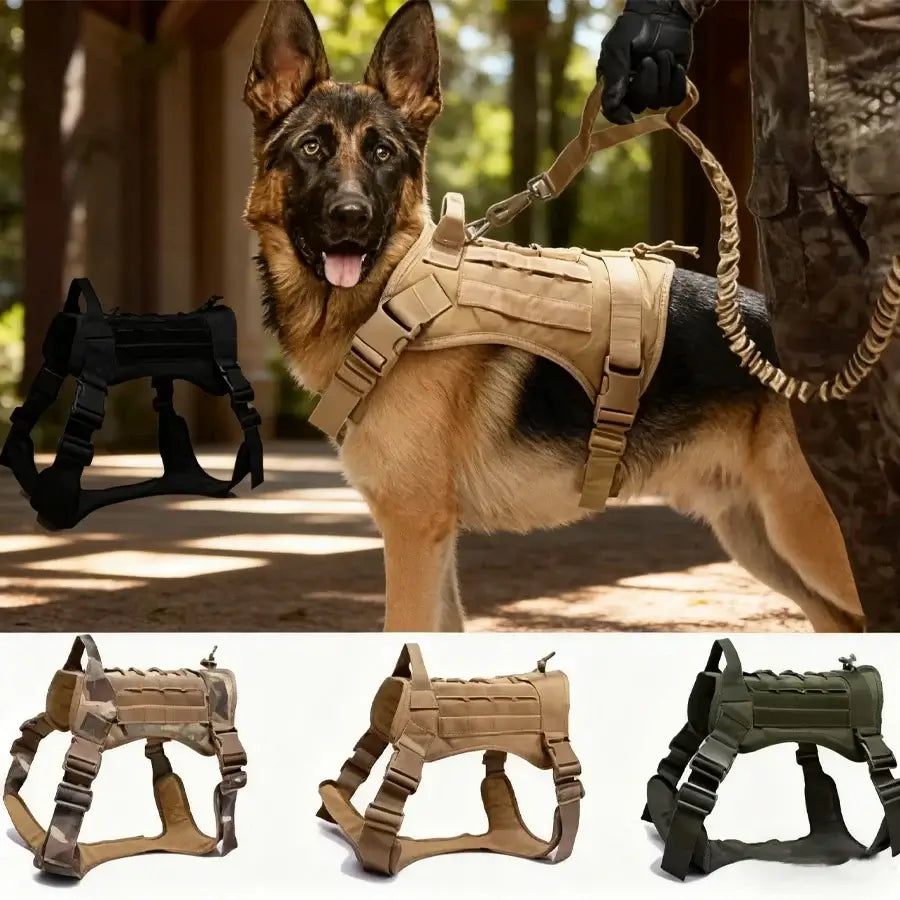 Military training dog harness with padded quick-release vest for German Shepherd in tactical outdoor training