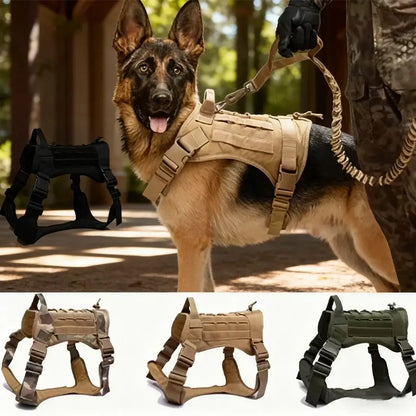 Military training dog harness with padded quick-release vest for German Shepherd in tactical outdoor training