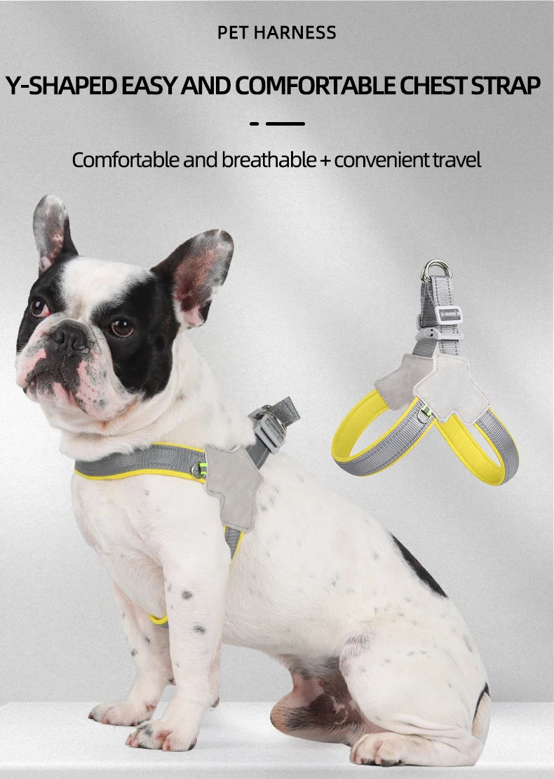 French Bulldog wearing a gray and yellow Y-shaped breathable dog harness