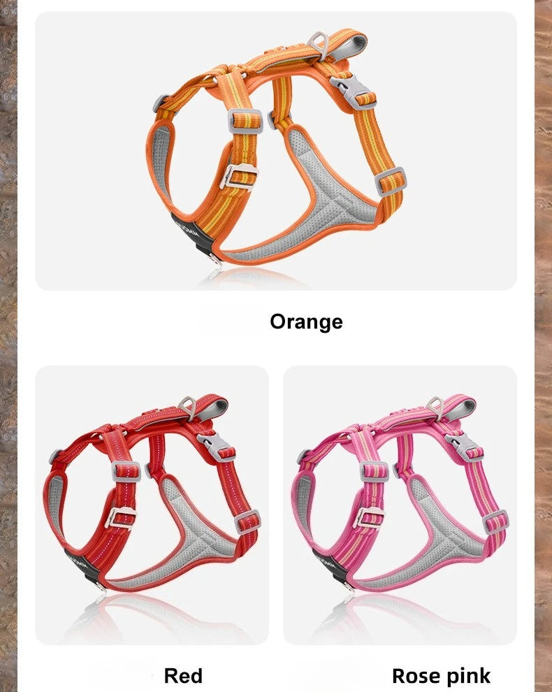 Sc063c235d55f49cbae67b16811eadd11P - bestdoggylife.shop