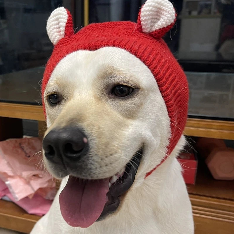 Happy dog wearing red knit hat with white ears, playful pet apparel accessory