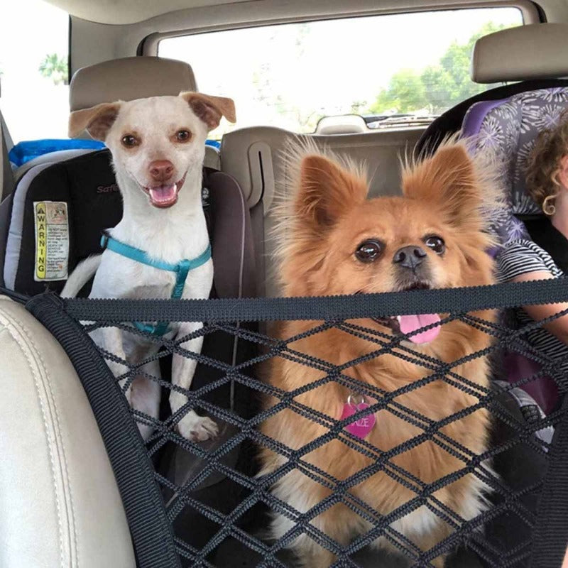 Sc1270d1fe7704d808047a13996bb49c5D - bestdoggylife.shop