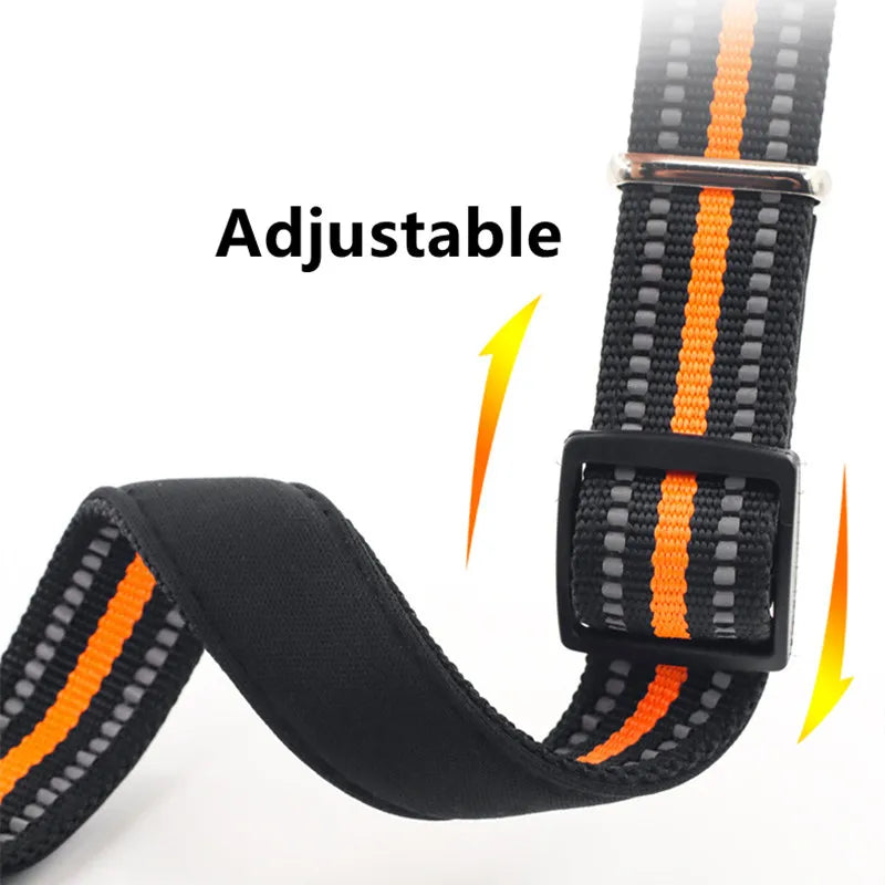 Adjustable reflective dog collar with nylon strap, striped design, and secure buckle for dogs and cats