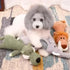 Sc2a8e95cd4ea470a87c6767ee40821beI - bestdoggylife.shop