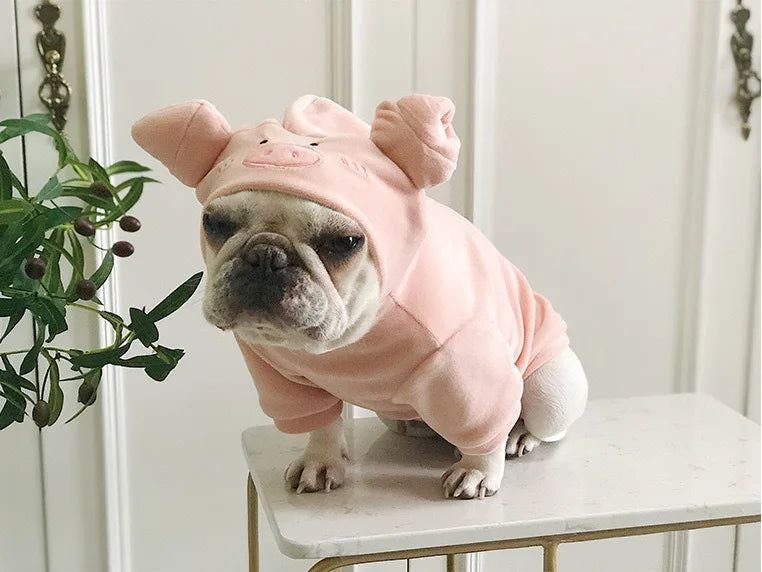 Dog Clothes for Small Medium Dogs Cow Pig Styling Outfit for French Bulldog Pet Puppy Clothing Funny Halloween Xams Dog Costume