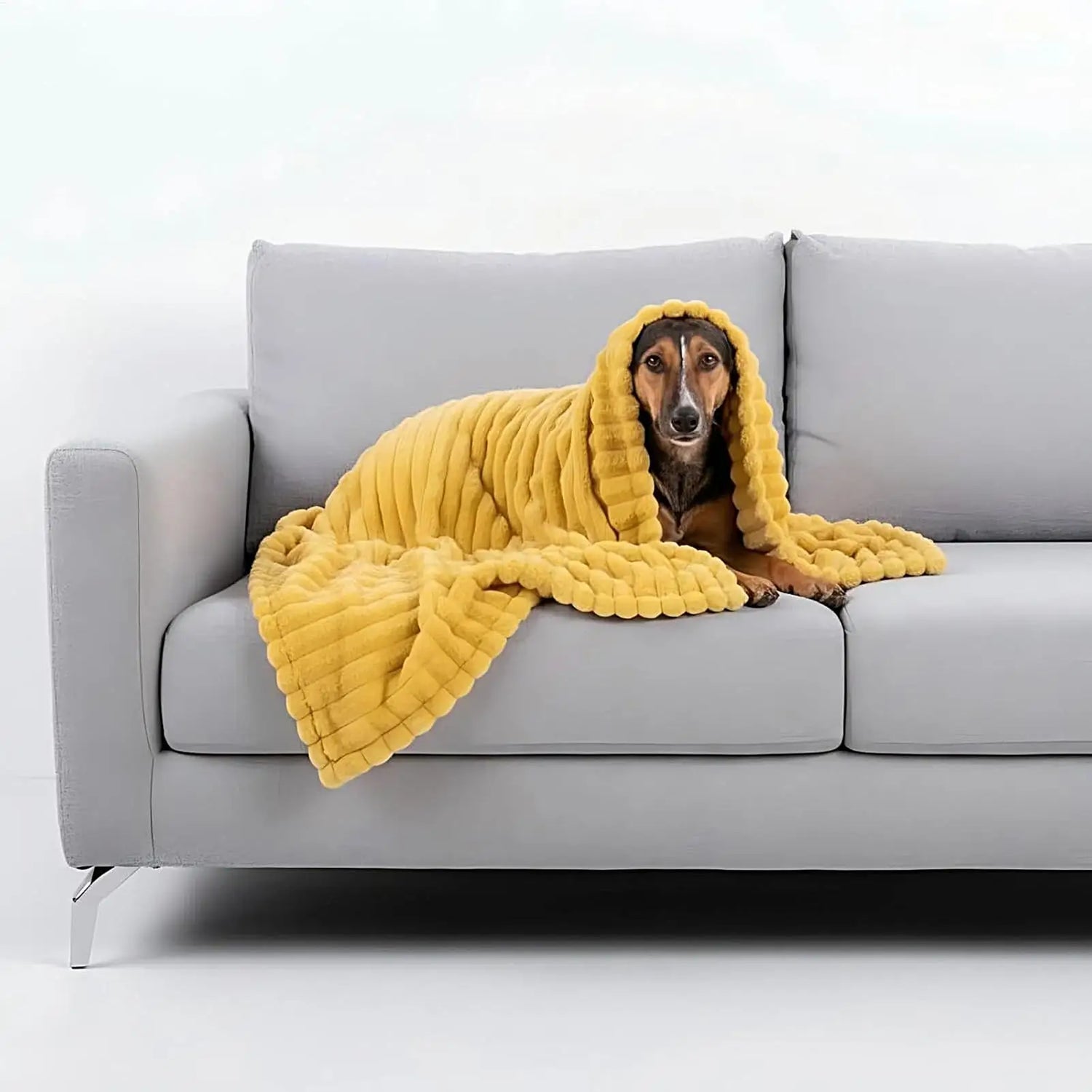 washable pet blanket for dogs on sofa, soft warm furniture protection mat for indoor comfort and crate use