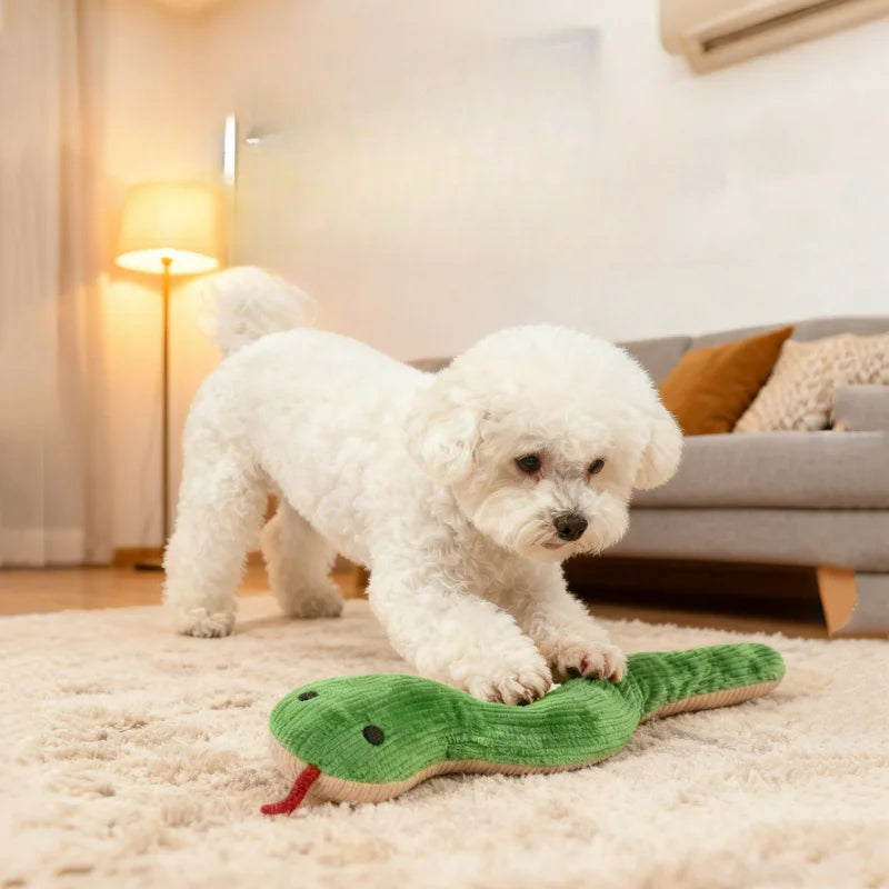 White puppy playing with plush snake pet chew toy on a rug in a cozy living room, bite-resistant and teeth-cleaning