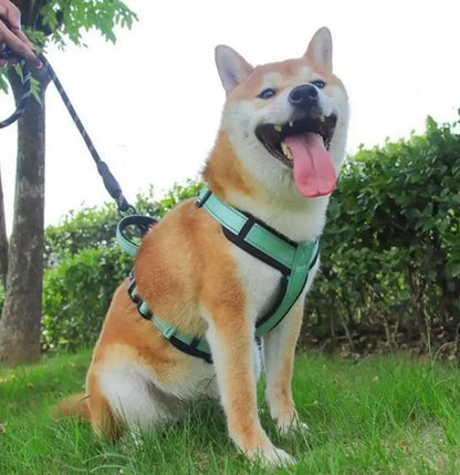 no pull dog harness with handle for small medium dogs, secure mint green walking harness for Shiba Inu outdoors