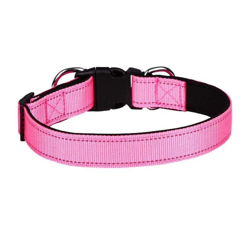 Adjustable pink nylon dog collar with black buckle and metal rings