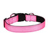 Adjustable pink nylon dog collar with black buckle and metal rings