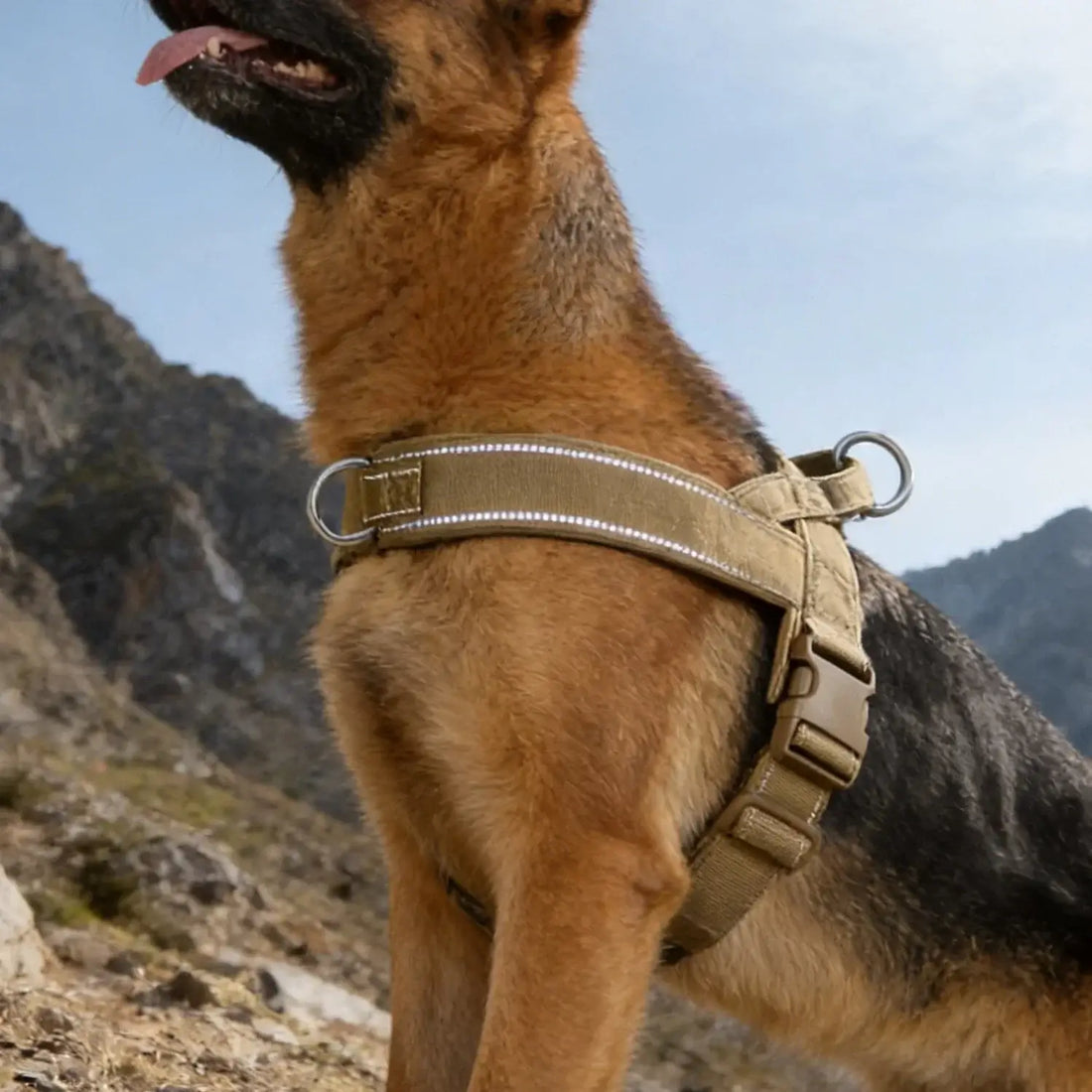 no-pull dog harness for large dogs, padded reflective vest harness for control on active outdoor dogs