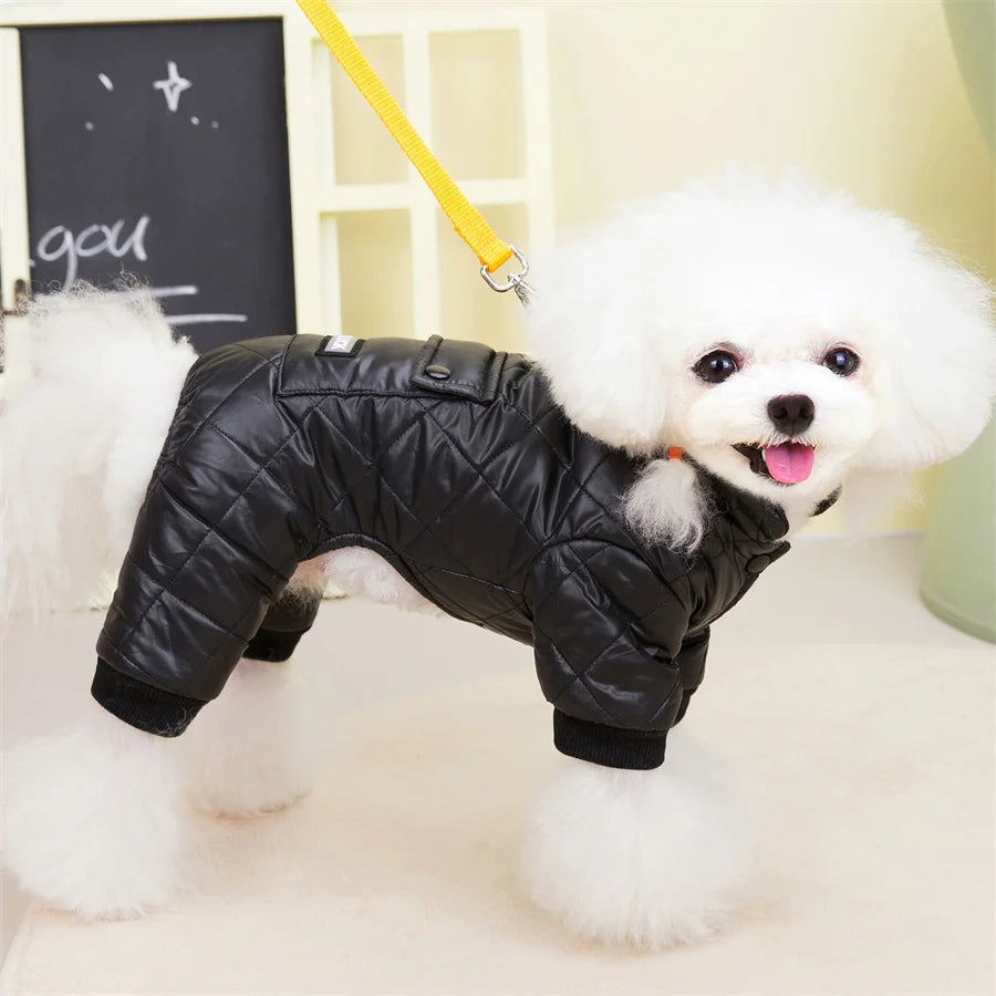 Sc49bcaf741534c5f9b9283c610377376k - bestdoggylife.shop