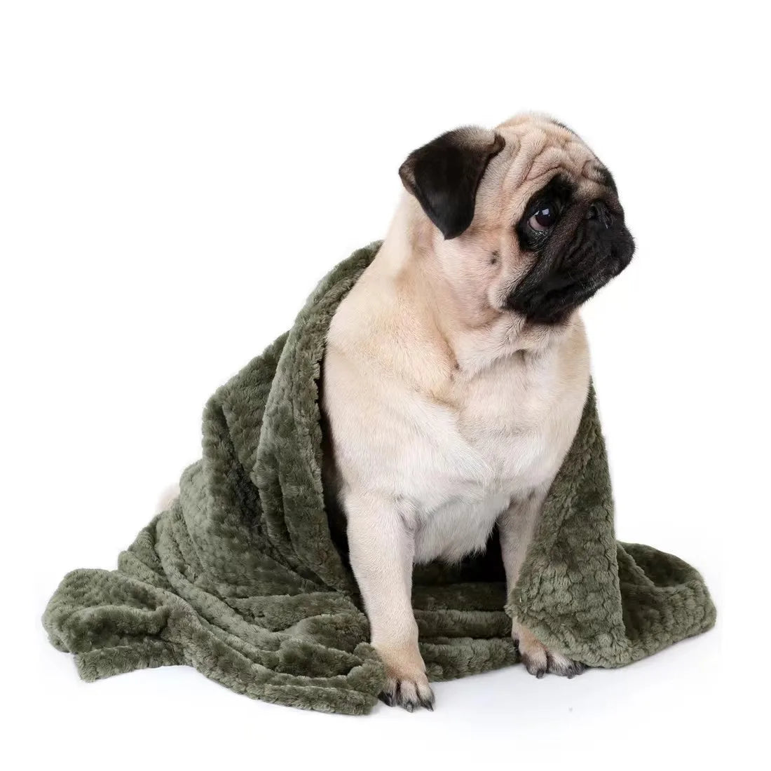 soft pet blanket for dogs and cats, warm green plush blanket with pug on white background