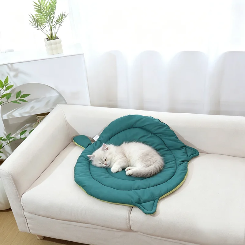 Sleepy white cat on washable cat dog bed mat on a sofa, soft teal pet cushion for all seasons