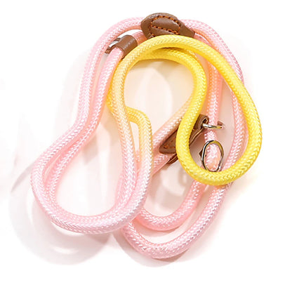 Sc622fc4dd7cd4f70ad163e3c9324016bQ - bestdoggylife.shop