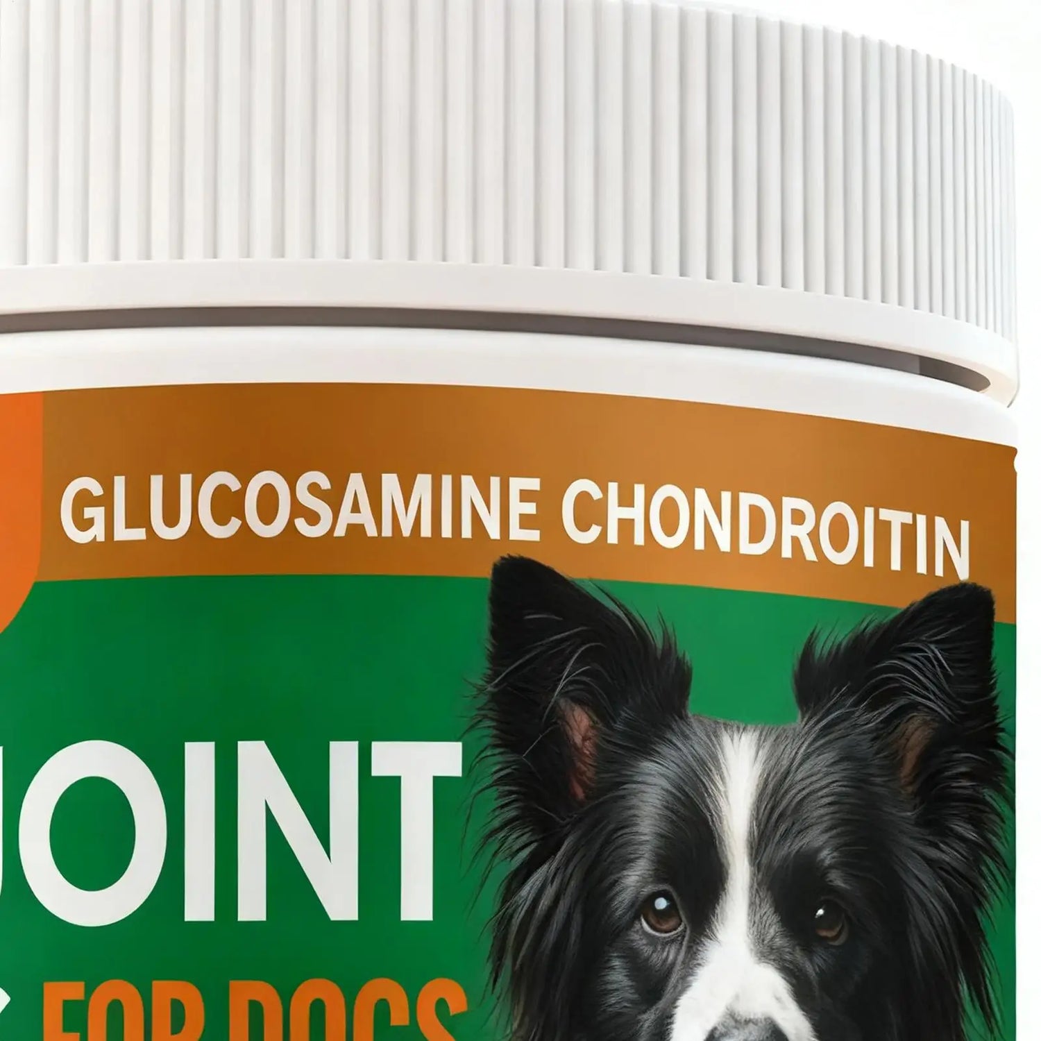 Sc6255c399be942af9d4b39f5f310914d7_a37a9de0-00b6-40cc-b383-92620e8a4e83 - bestdoggylife.shop