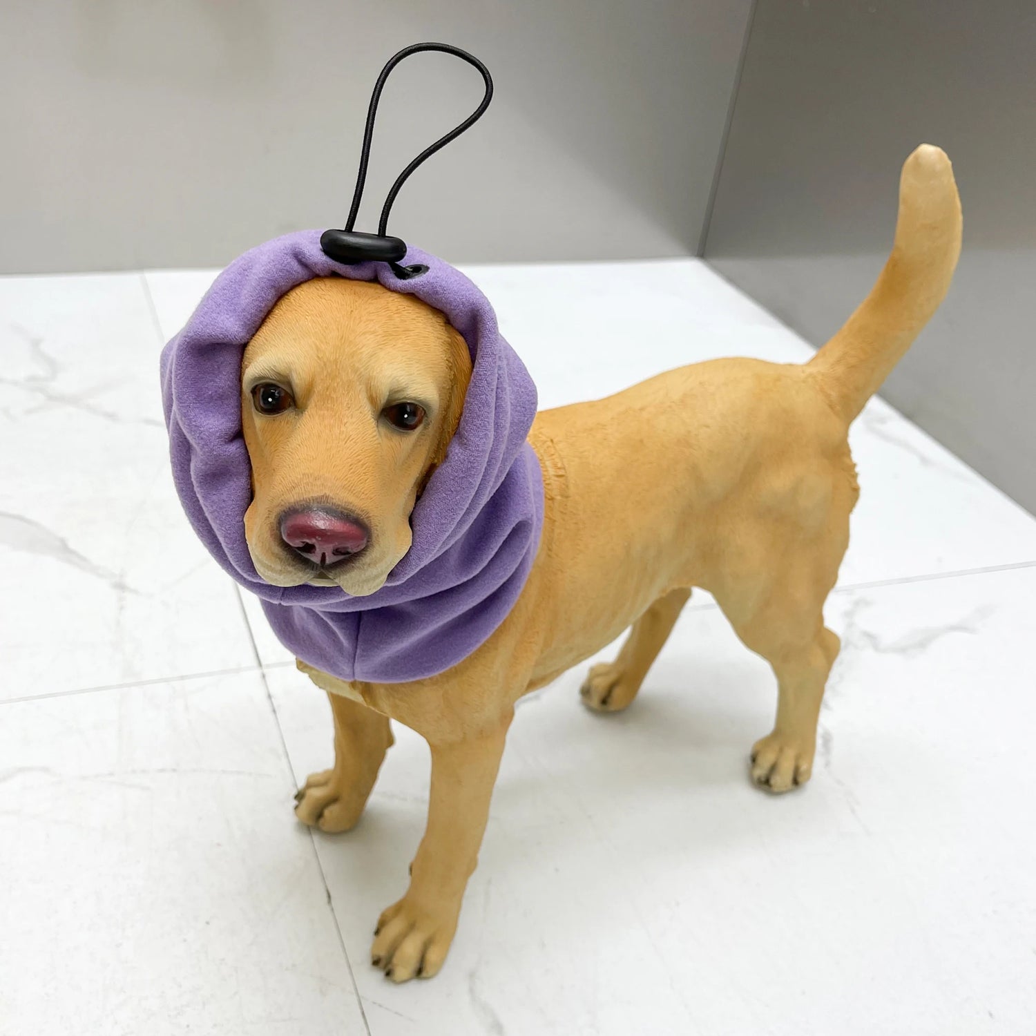 Yellow dog wearing a purple fleece headwrap with drawstring, standing indoors on tile floor