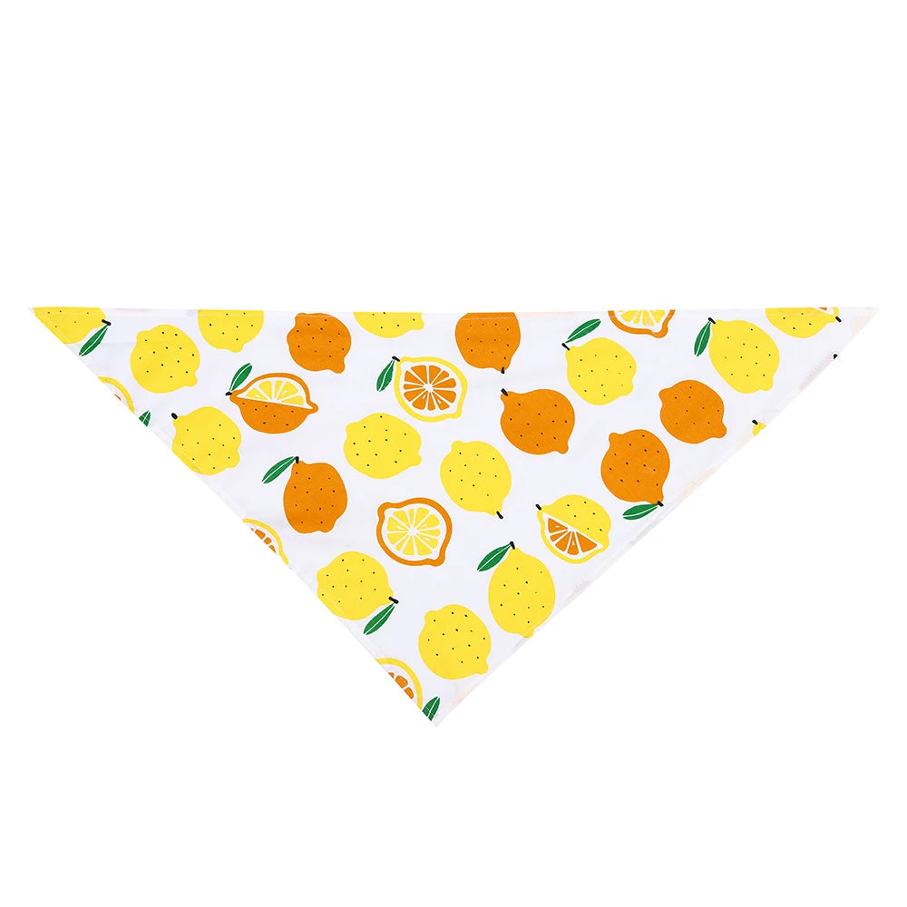 Dog bandana with orange and yellow citrus fruit print on white background