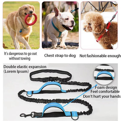 Hands Free Dog Leash for Pet Walking Running Retractable Elastic Belt Dog Traction Rope for Running Walking Pet Products