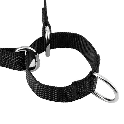 Sc782c70a68e14036b9f4ad3d8a439cbfh_4dec66a2-ac36-4f5d-aeea-4601c24154f3 - bestdoggylife.shop