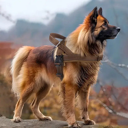 escape-proof tactical dog harness on large dog for secure walking, training, and outdoor control
