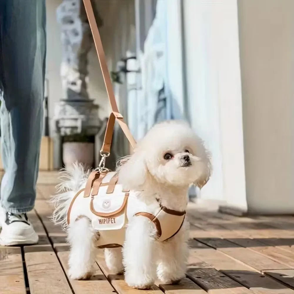 Cute small dog in a dog backpack carrier for walking and travel, breathable pet carrier harness for daily use