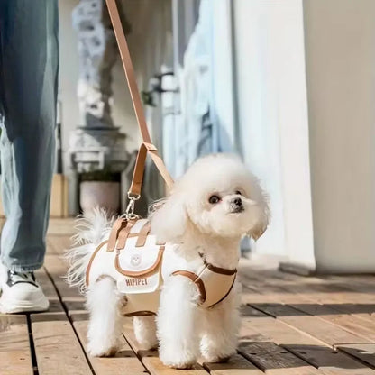 Cute small dog in a dog backpack carrier for walking and travel, breathable pet carrier harness for daily use