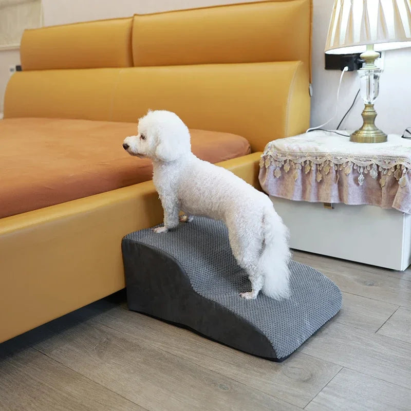 Sc828b99357f44c14aa20fcf59da957cac - bestdoggylife.shop