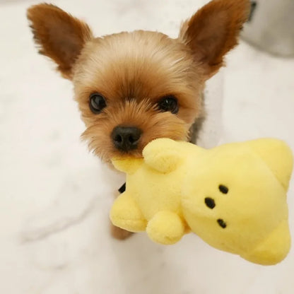 small dog squeaky toy yellow bear plush toy for puppies and small dogs, cute pet chew toy for Pomeranian and Shih Tzu