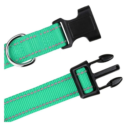 Sc8b7b32fa42a493f9cdb87b17c1f044c0 - bestdoggylife.shop