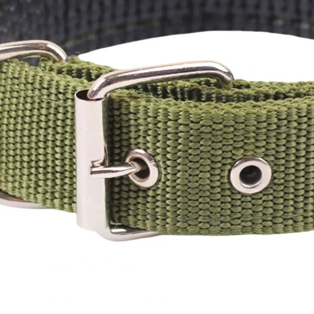 Sc8e11968d1dc44f08e3cff6bf2825525m - bestdoggylife.shop
