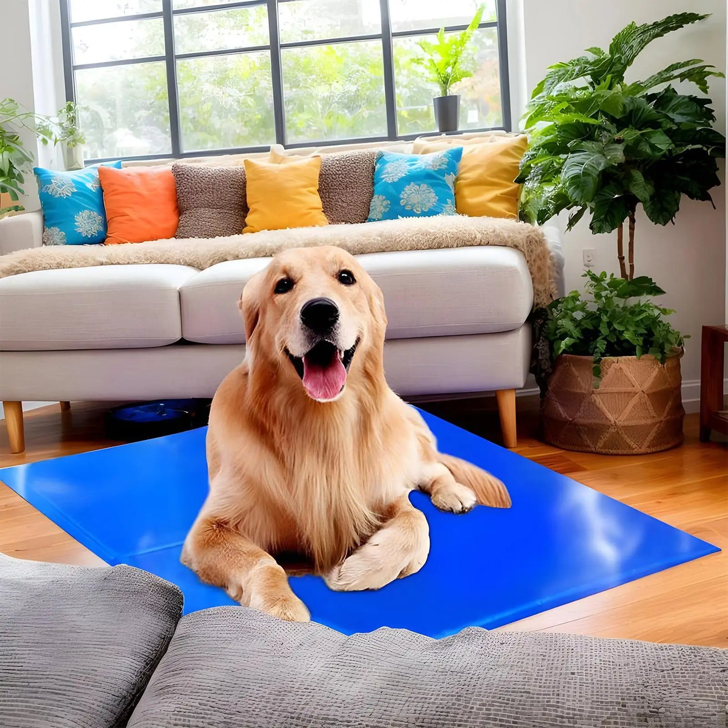 self cooling dog mat for dogs, portable blue gel cooling pad for indoor summer rest and napping on hot weather floors