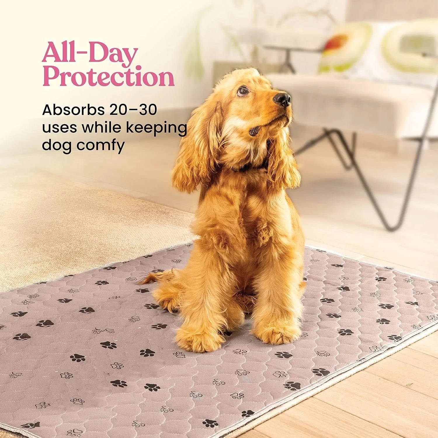 Golden dog sitting on absorbent, paw-print pet mat in a cozy indoor living room.