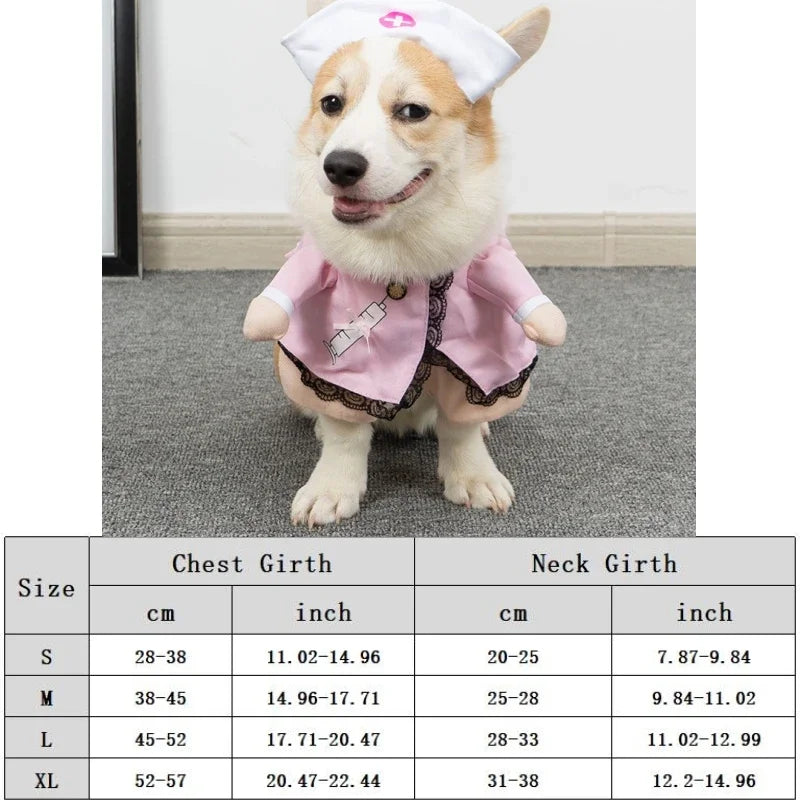Corgi dog wearing pink nurse costume with hat, sitting on carpet, pet apparel size chart below.