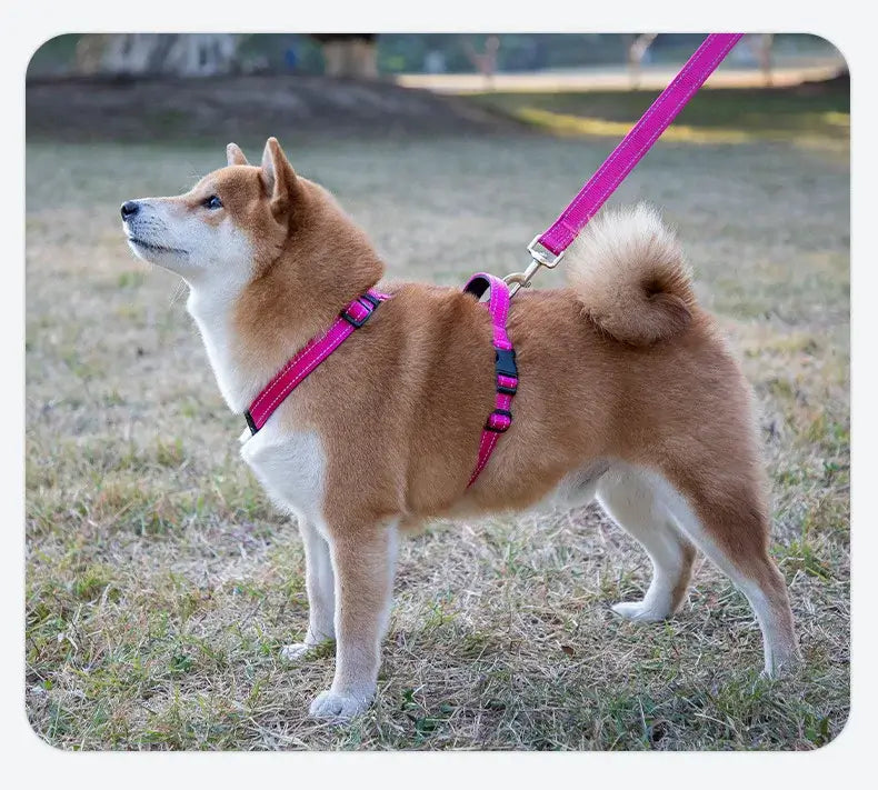 Dog wearing dog harness vest with pink leash, reflective nylon harness for small, medium, and large dogs