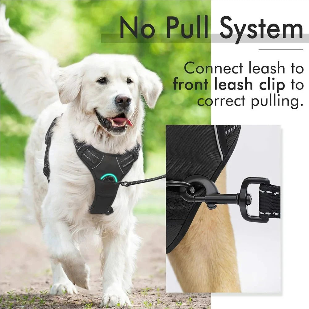 Sca6bf5940d41426fb3bbb2043b6ac18bX - bestdoggylife.shop