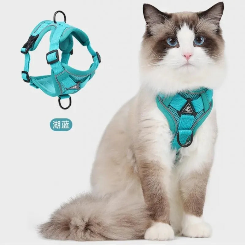 Turquoise reflective cat harness and leash set with breathable mesh, adjustable nylon vest for small cats and kittens