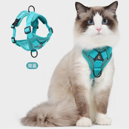 Turquoise reflective cat harness and leash set with breathable mesh, adjustable nylon vest for small cats and kittens